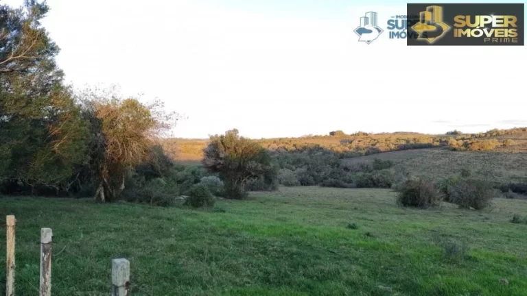 Imagem Sítio para Venda em Centro Piratini-RS - 2143