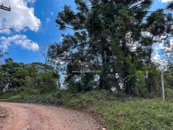 Imagem Terreno à venda em Campos do Jordão - Excelente opção para investimento