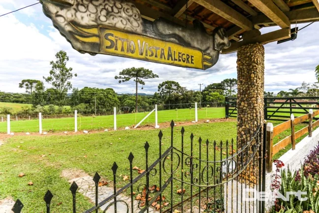 Imagem Sitio maravilhoso com 10,51 hectares - a 200m do Mercado 4 irmãos - Fazendinha - c/ Escritura e Registro - Rio Negro.