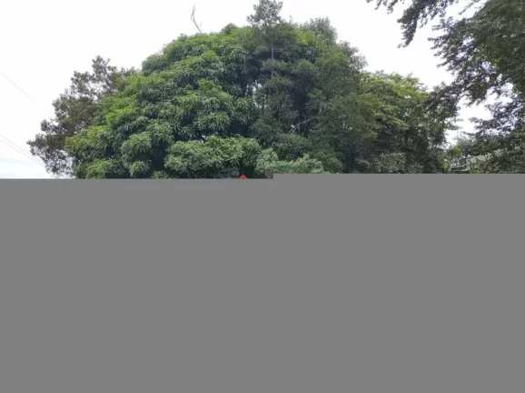 Imagem Terreno em Condomínio a Venda no bairro Córrego Grande - Florianópolis, SC