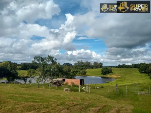 Imagem Posto de Gasolina com Mercado na BR 392 para venda