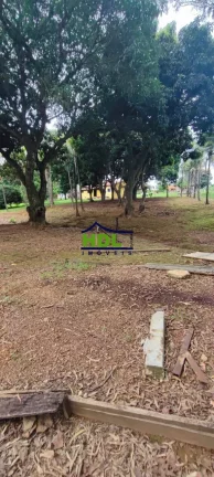 Imagem Fazenda de 23 alqs com estrutura para leite.