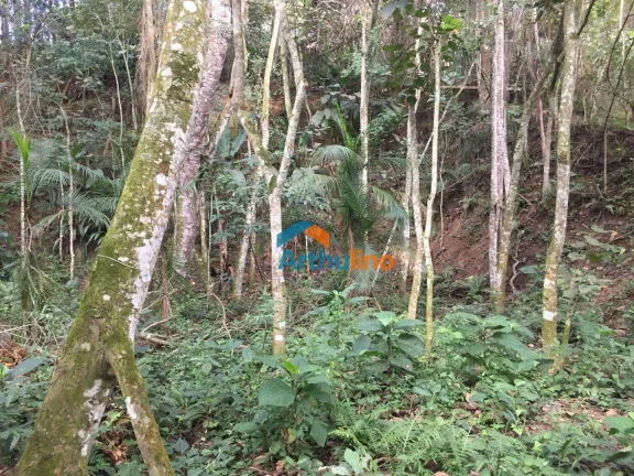 Imagem Terreno à venda, 1571 m² por R$ 450.000,00 - Chácara Represinha - Cotia/SP
