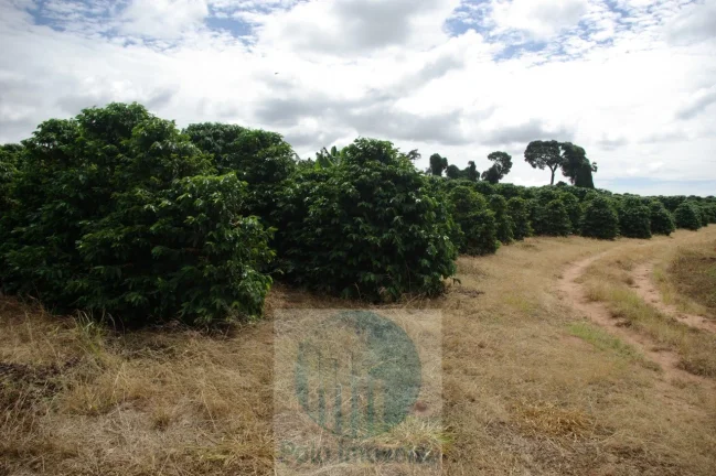 Imagem Sítio 5 alqueires para café, sem geada Café plantado, casa, energia e água.