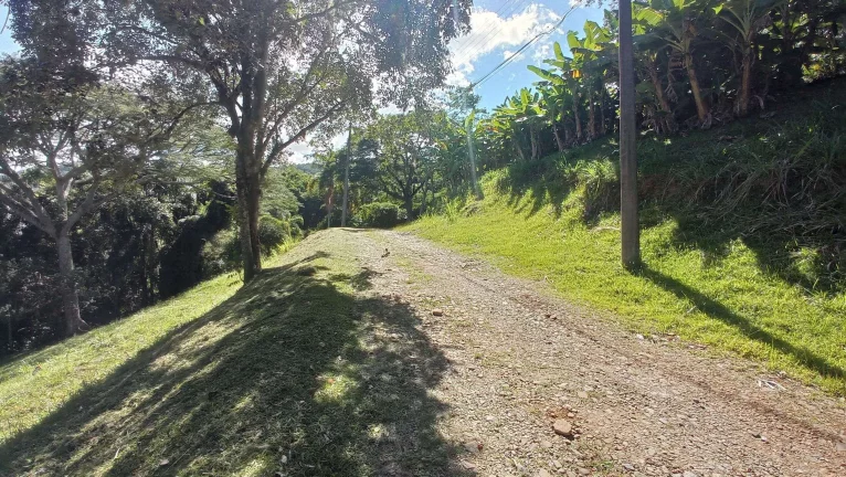 Imagem Terreno à venda com 45.000m2, viabilidade para condomínio fechado - Córrego Grande, Florianópolis, SC