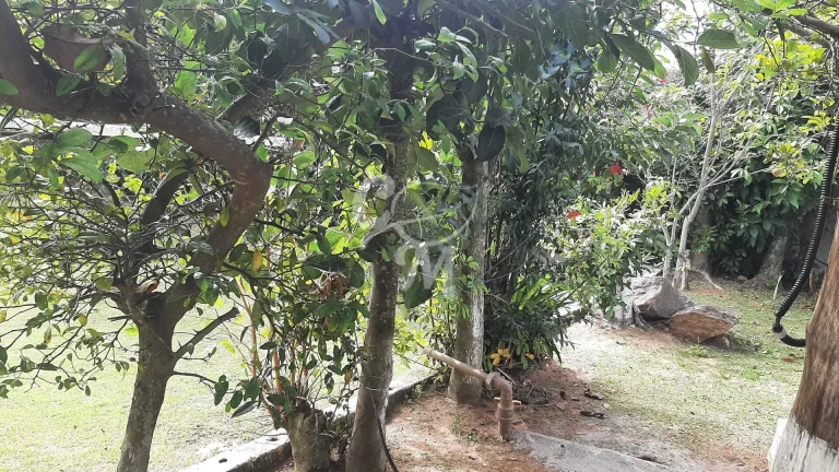 Imagem Excelente chácara em Itupeva