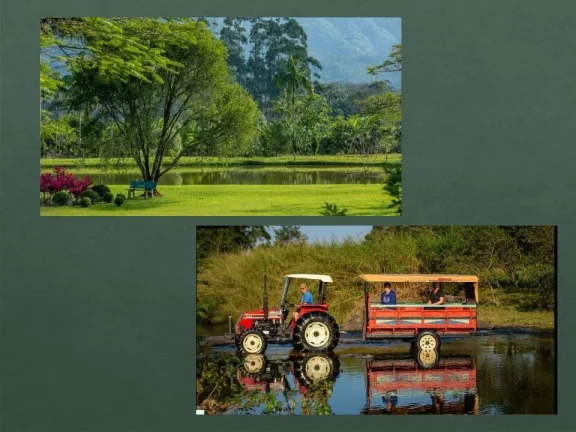 Imagem Area Estrada Bonita