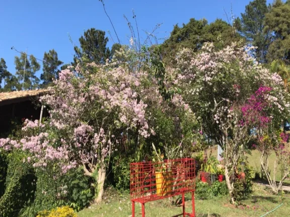 Imagem SITIO RURAL em Igaratá - SP, Parathey do meio