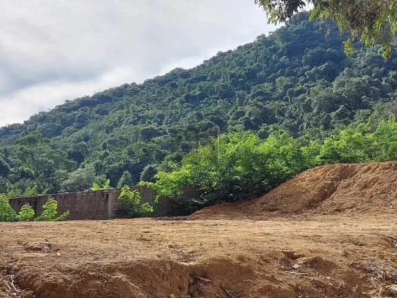 Imagem Área para Venda em Ubatuba / SP no bairro Ubatumirim