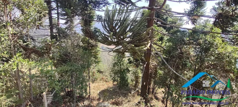 Imagem Terreno à venda no Bairro dos Venâncios, junto à Pedra do Barnabé