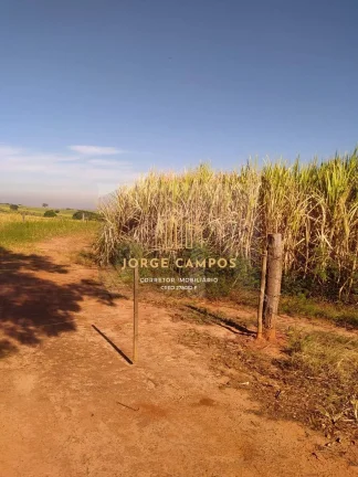 Imagem FA-25233 - FAZENDA À VENDA NA MESORREGIÃO DE RIO PRETO - SP