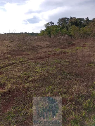 Imagem Sítio vende 10 alqueires em Altinópolis - SP, terra de cultura, vermelha e em pasto.