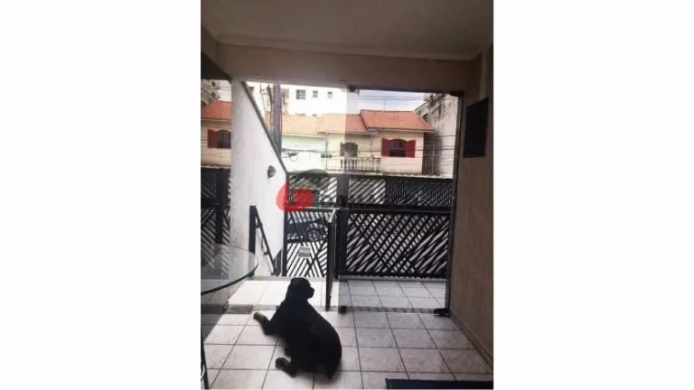 Imagem Casa à venda 3 Quartos, 1 Suite, 3 Vagas, 250M², Santa Maria, São Caetano do Sul - SP