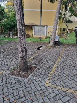 Imagem Apartamento 2 dorms. à venda no bairro Lagoa do Aruá em Mata de São João-BA.