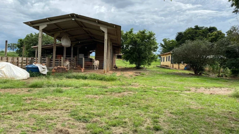 Imagem Fazenda à Venda em Santa Cruz de Goiás – Dupla Aptidão!