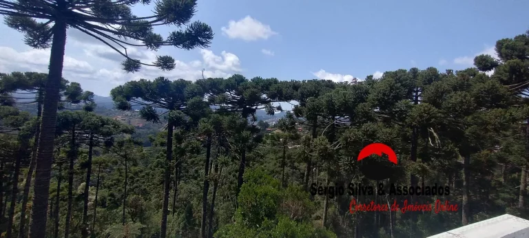 Imagem Casa a Venda na Região da Vila Natal em Campos do Jordão -SP.