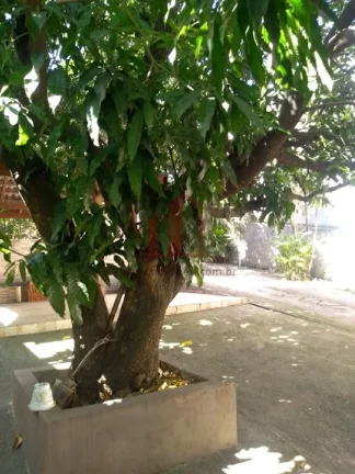Imagem CASA RESIDENCIAL em FRANCISCO MORATO - SP, PARQUE CLIMATERIC ROLLAND