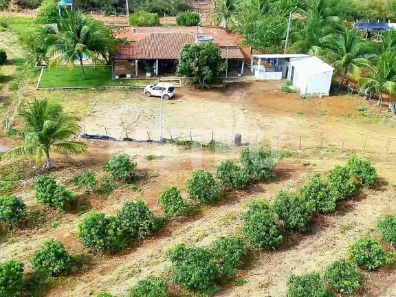 Imagem Fazenda produtiva de mangas à venda com 12,5 ha, PETROLINA - PE