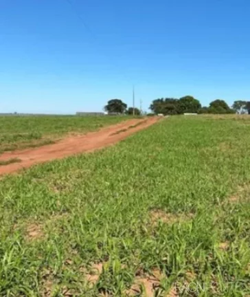 Imagem Fazenda à Venda, 2.032.800 m² em Zona Rural - Guaraci