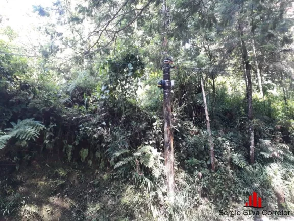 Imagem Terreno a Venda na Região do Capivari em Campos do Jordão - SP