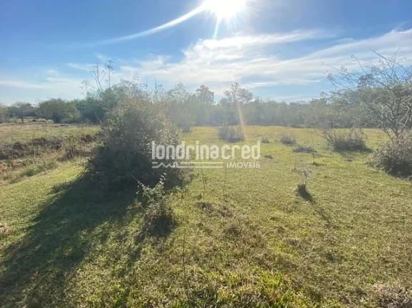 Imagem Chácara à venda Zona Rural, Serranópolis do Iguaçu - PR