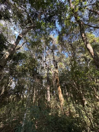 Imagem UM PARAÍSO EM BUENO BRANDÃO MINAS GERAIS - TERRENO DESLUMBRANTE DE 20.000 M²