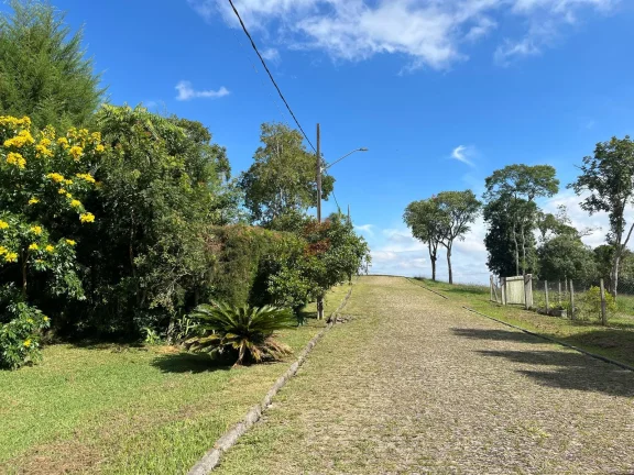 Imagem ÁREA à venda com 6250.86m² por R$ 660.000,00 no bairro planta laranjeiras - PIRAQUARA / PR