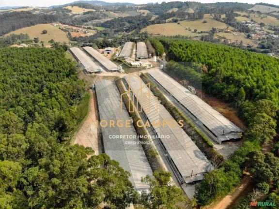 Imagem GA-26288 - VENDA DE GRANJA AUTOMATIZADA DE FRANGO EM BRAGANÇA PAULISTA-SP