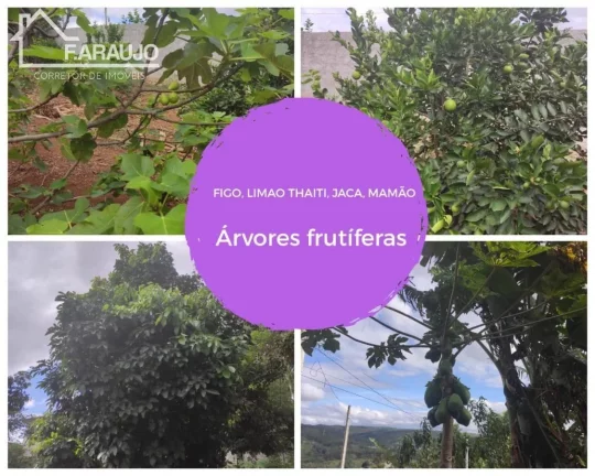 Imagem Chácara à venda em Salto de Pirapora com 5000m² 6 quartos, 35 vagas