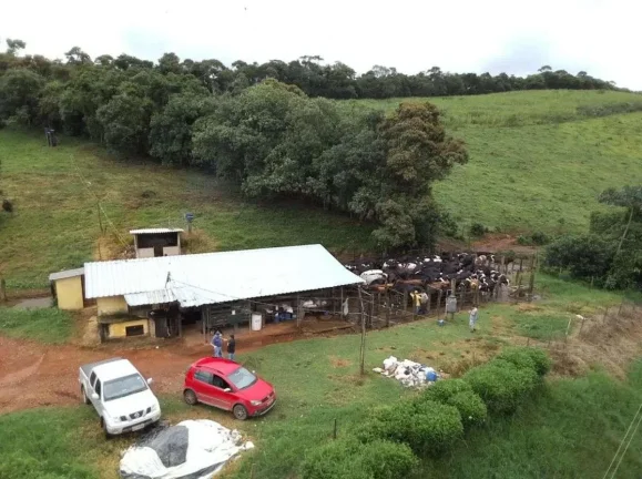 Imagem Fazenda Leiteira Completa e Produtiva com Estrutura de Alta Capacidade - Oportunidade Única em Antônio Carlos, MG