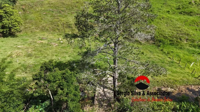Imagem Lindo Terreno a Venda na Região do Baú em São Bento do Sapucaí ~ SP.