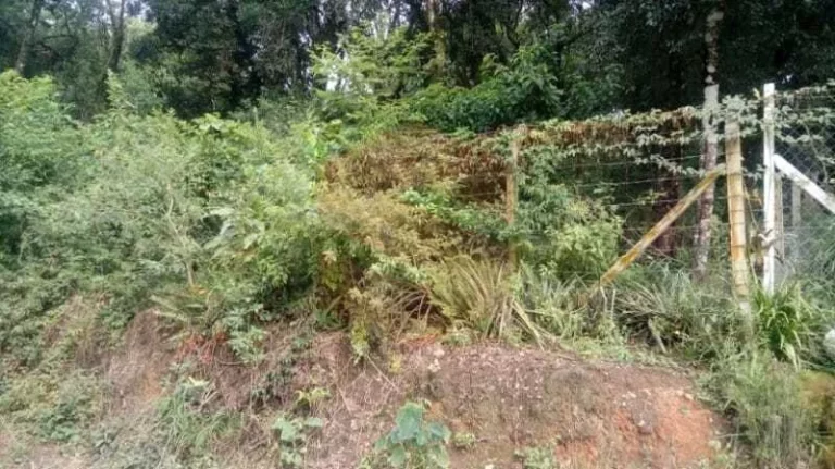 Imagem Chácara à venda em Campo Largo/PR