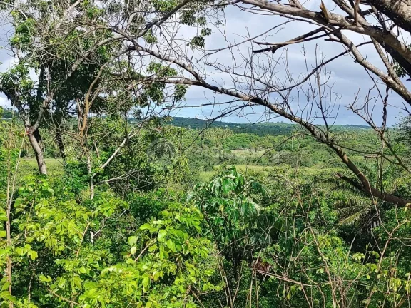 Imagem oferta imperdível no Porto Cotovelo condominio resort - lote com 551m2
