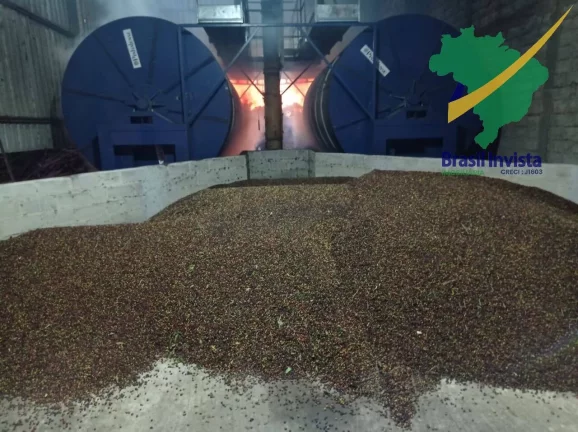 Imagem FAZENDA COM EXCELENTE PRODUÇÃO PRÓXIMA A PORTO SEGURO