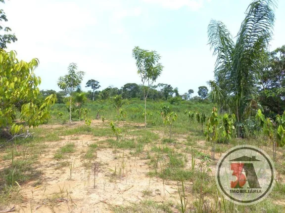 Imagem Chácara 2 hectares 25km de Porto Velho