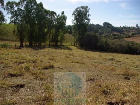 Imagem SÍTIO A VENDA 66,5 HECTARES para GRÃOS E GADO, JACUÍ MG