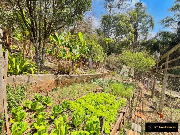 Imagem Chácara com Facil Acesso e Boa Topografia, Terra Preta -1680M² por R$350mil