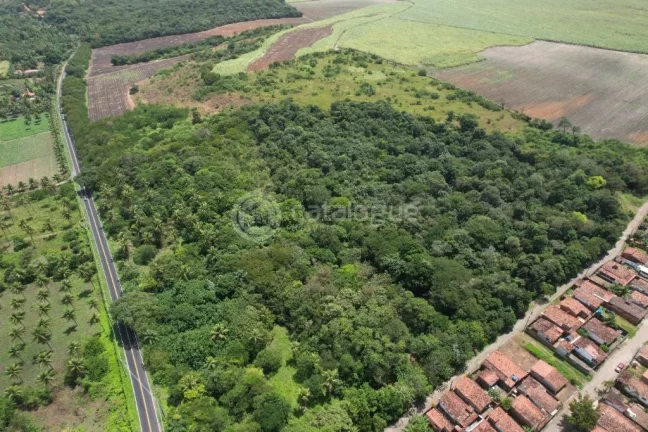 Imagem Área à Venda – Nísia Floresta / RN - 12,1 Ha