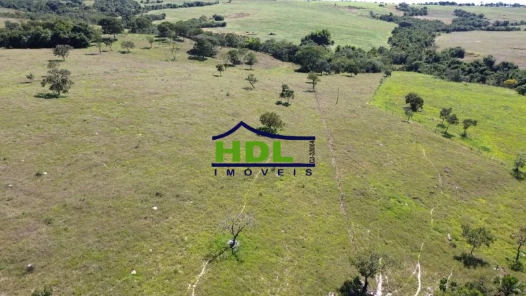 Imagem Chácara com 30,87 Hectares beira asfalto 85 kms de Goiânia