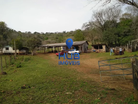 Imagem Fazenda à Venda, 28,5 Alqueires, Pinhal Grande, Laranjal/PR