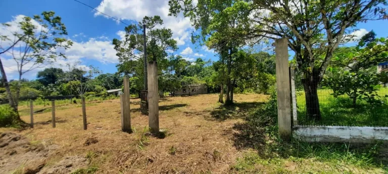 Imagem Chácara para Venda em Itanhaém, Gaivota (Interior), 2 dormitórios, 1 banheiro, 15 vagas