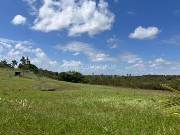 Imagem Chacara a venda completa e produtiva em Sao jose de mipibu