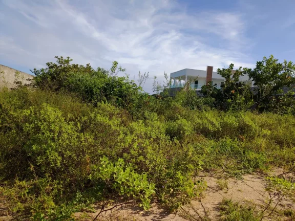 Imagem Terreno no Robalo - Espaço e Localização Privilegiada | Consultor Imobiliário Especialista