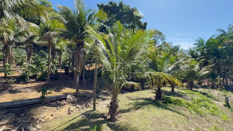 Imagem Sítio com Casa à venda, 100.614,00 m², Timbuí - Fundão/ES