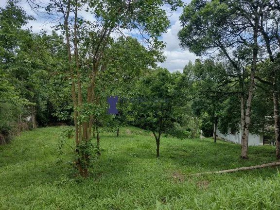 Imagem ÁREA RURAL COM 6.957,50M² EM BALSA NOVA