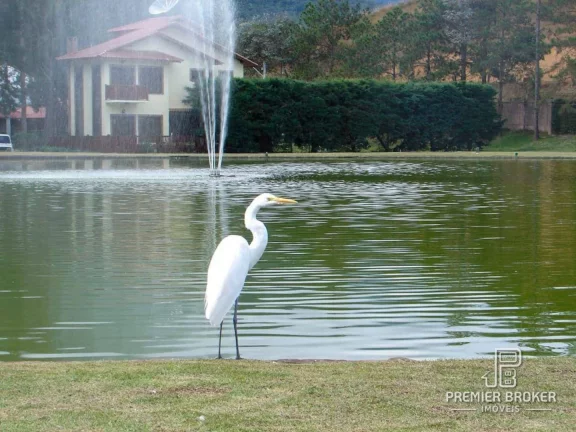 Imagem Casa à venda, 328 m² por R$ 2.000.000,00 - Vargem Grande - Teresópolis/RJ
