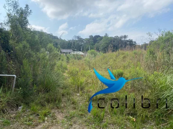 Imagem Terreno à Venda, 730 m² em Quatro Pinheiros - Mandirituba