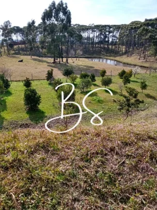 Imagem AREA RURAL em CANELA - RS, São Lucas