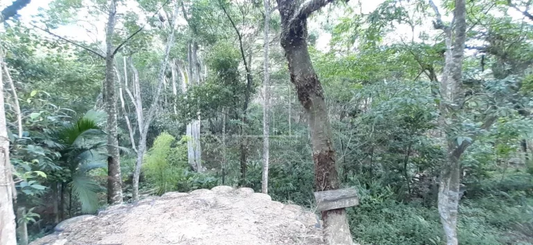 Imagem Terreno para Venda em Florianópolis / SC no bairro Vargem Grande