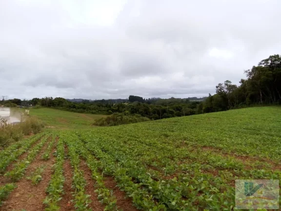 Imagem Terreno para Venda em São José dos Pinhais, Contenda, 1 dormitório